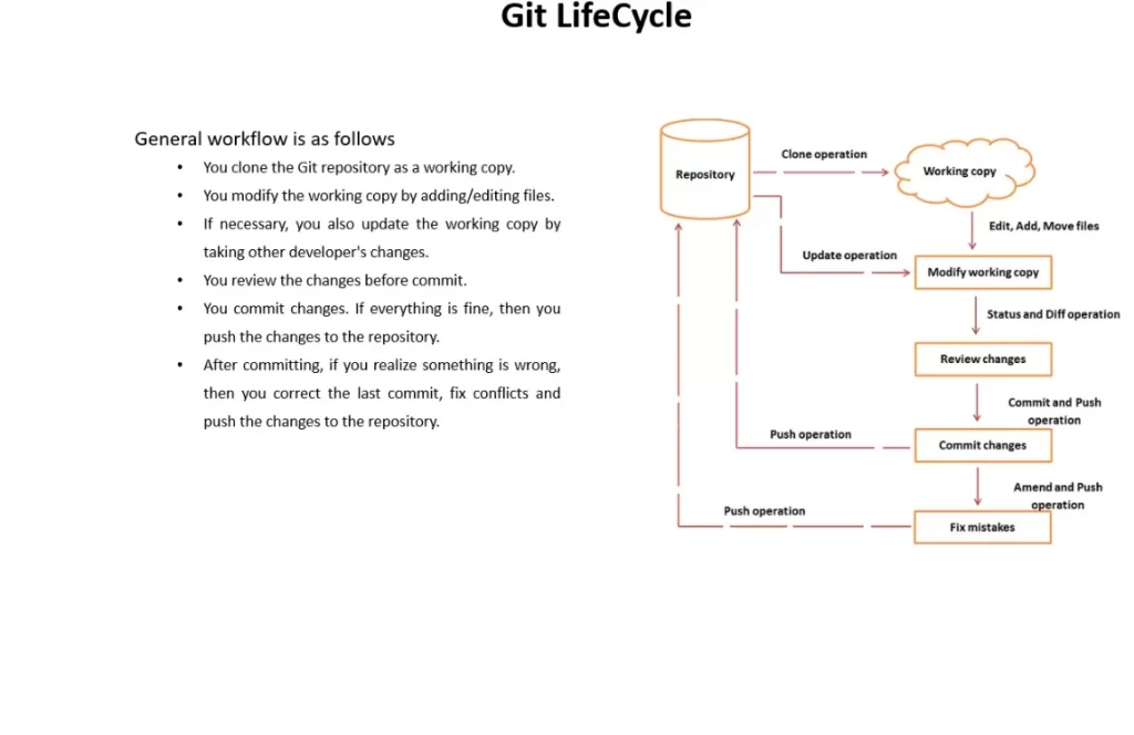 چرخه یا lifecycle در گیت چیست؟