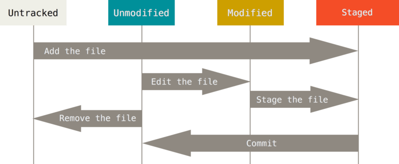 چرخه یا lifecycle در گیت